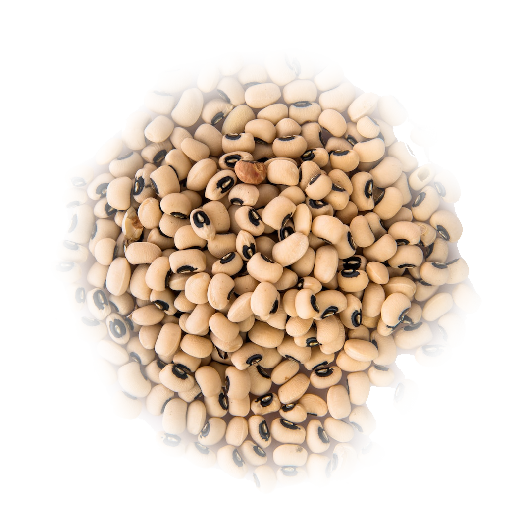 seeds_1368-6563