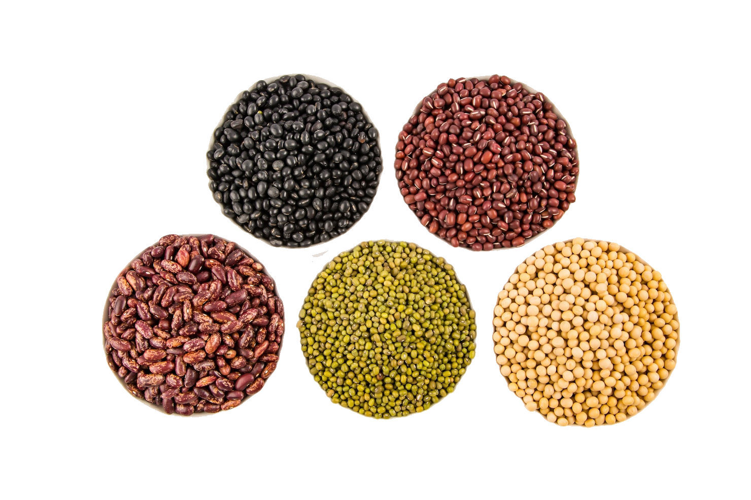 variety-legumes-top-view_1127-174